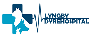 Lyngby Dyrehospital